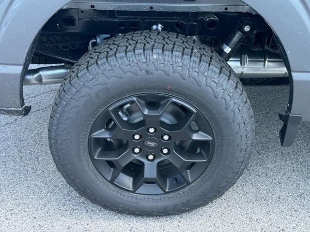 Ford F-150 Vehicle Image 04