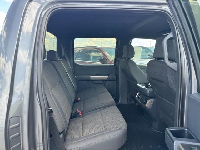 Ford F-150 Vehicle Image 05