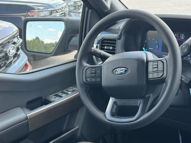 Ford F-150 Vehicle Image 07