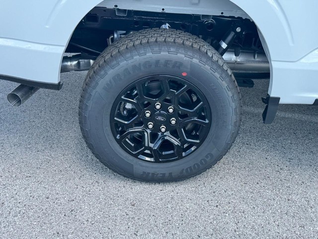 Ford F-150 Vehicle Image 04