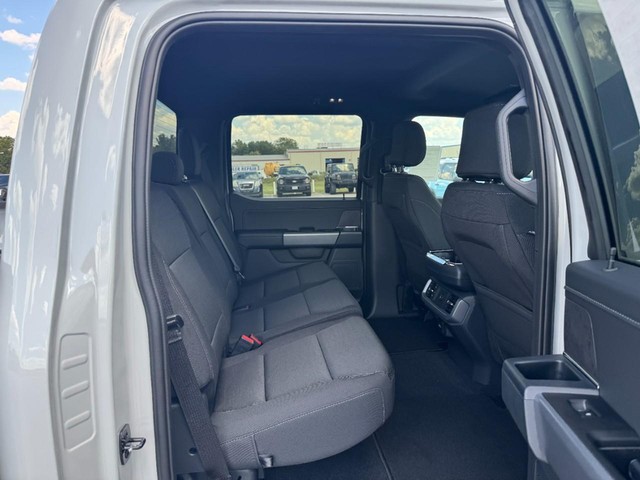 Ford F-150 Vehicle Image 05
