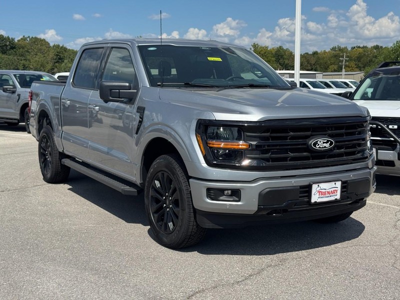 Ford F-150 Vehicle Image 02