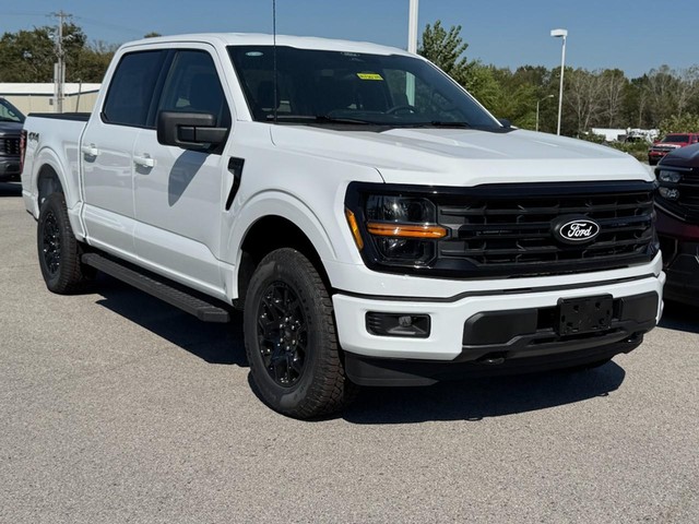 Ford F-150 Vehicle Image 02