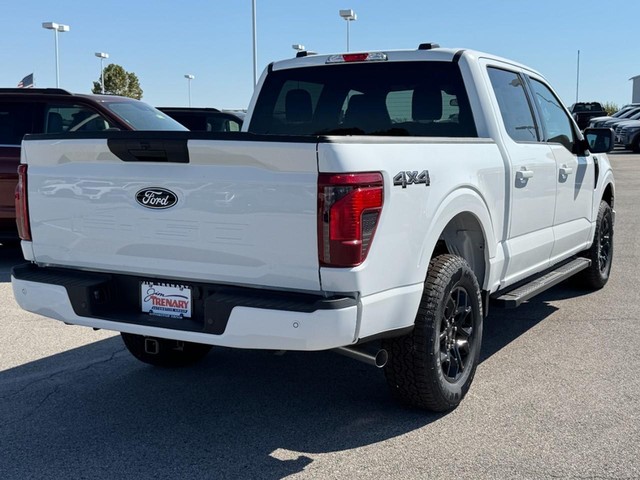 Ford F-150 Vehicle Image 03