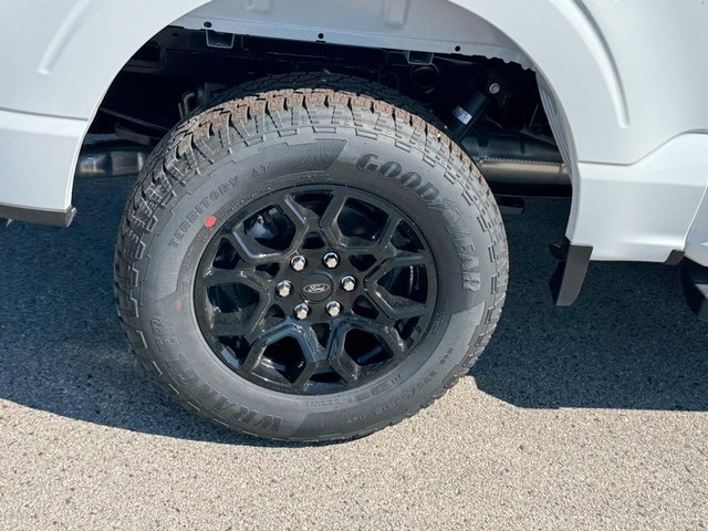 Ford F-150 Vehicle Image 04