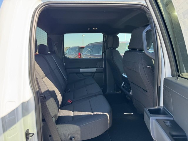 Ford F-150 Vehicle Image 05
