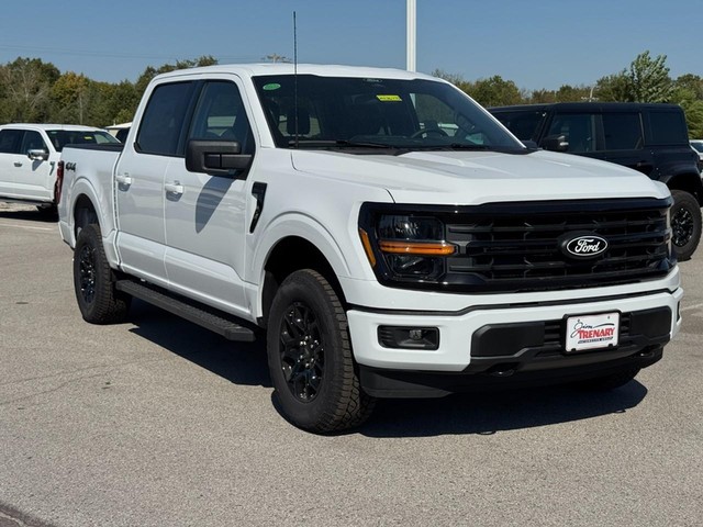 Ford F-150 Vehicle Image 02