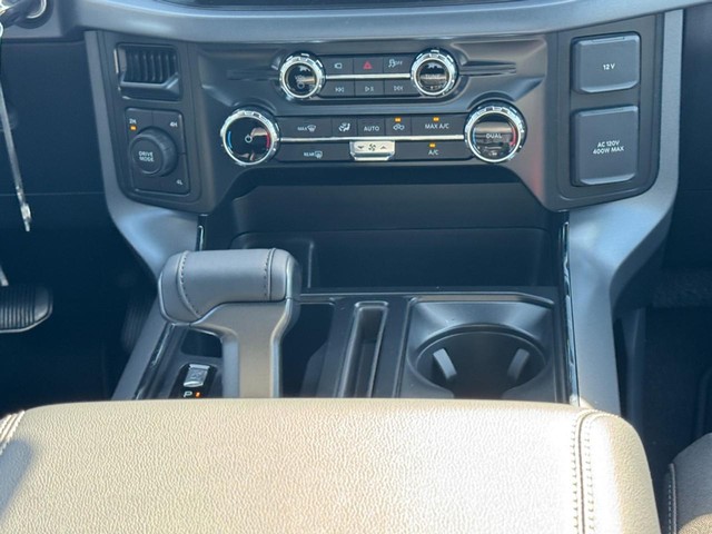 Ford F-150 Vehicle Image 09