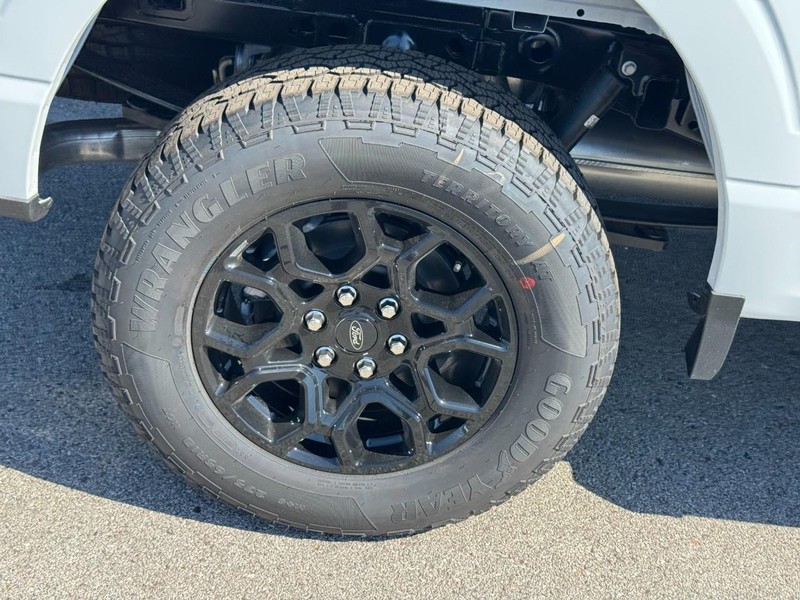 Ford F-150 Vehicle Full-screen Gallery Image 4