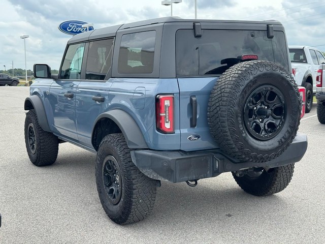 Ford Bronco Vehicle Image 06