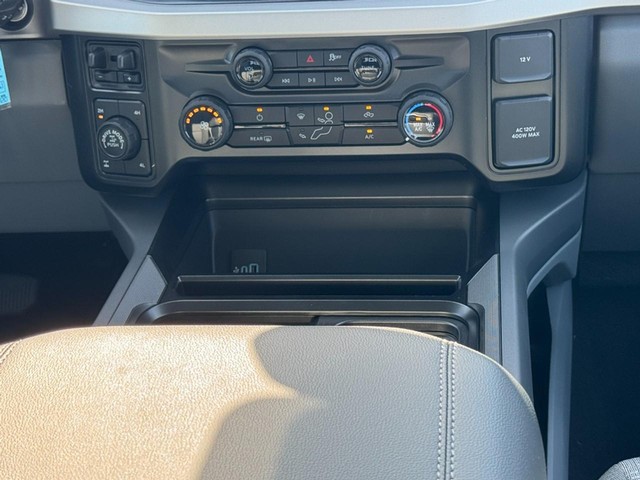 Ford Super Duty F-250 SRW Vehicle Image 09
