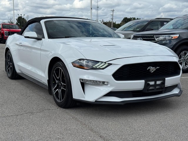Ford Mustang Vehicle Image 02