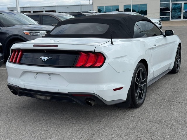 Ford Mustang Vehicle Image 03