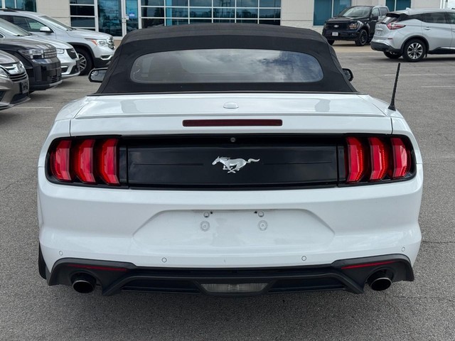 Ford Mustang Vehicle Image 04