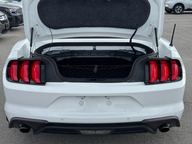 Ford Mustang Vehicle Image 05