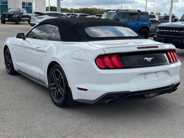 Ford Mustang Vehicle Image 06