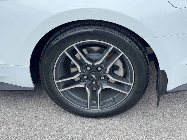 Ford Mustang Vehicle Image 07