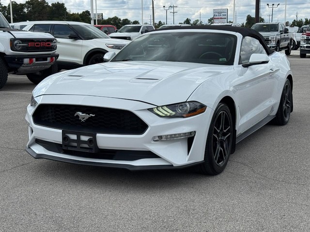 Ford Mustang Vehicle Image 08