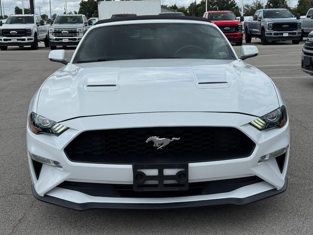 Ford Mustang Vehicle Image 09