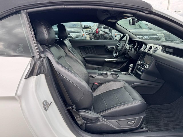 Ford Mustang Vehicle Image 10