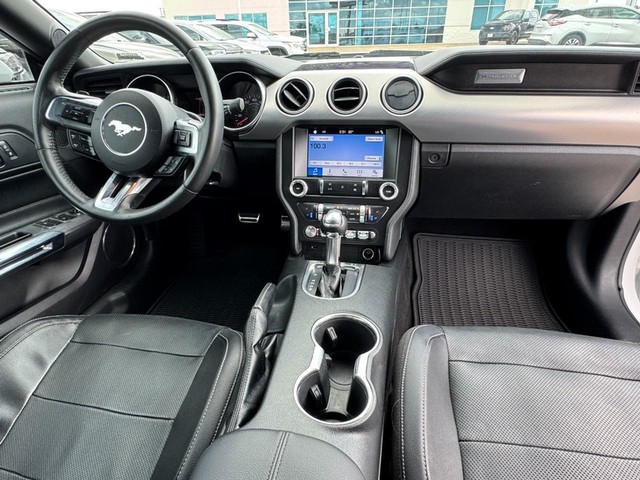 Ford Mustang Vehicle Image 12