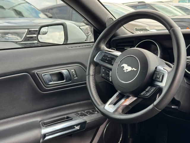 Ford Mustang Vehicle Image 13