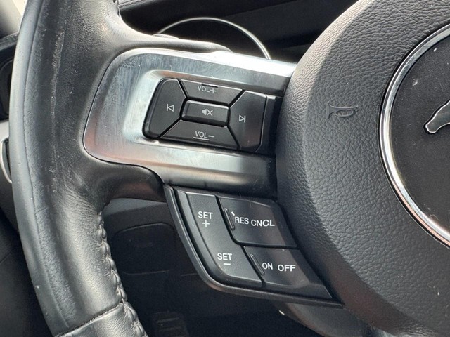 Ford Mustang Vehicle Image 17