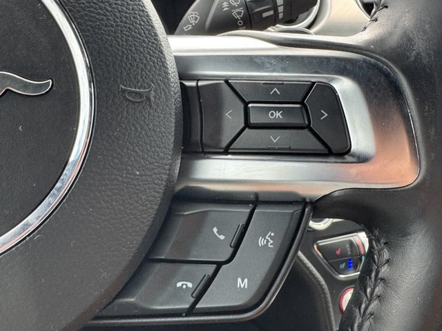 Ford Mustang Vehicle Image 18
