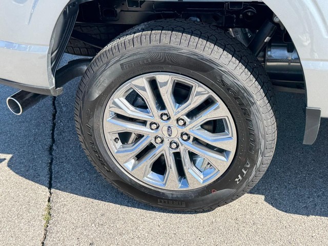 Ford F-150 Vehicle Image 04