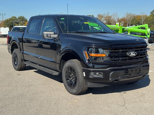 Ford F-150 Vehicle Image 02