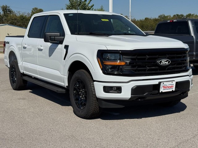Ford F-150 Vehicle Image 02