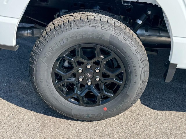 Ford F-150 Vehicle Image 04