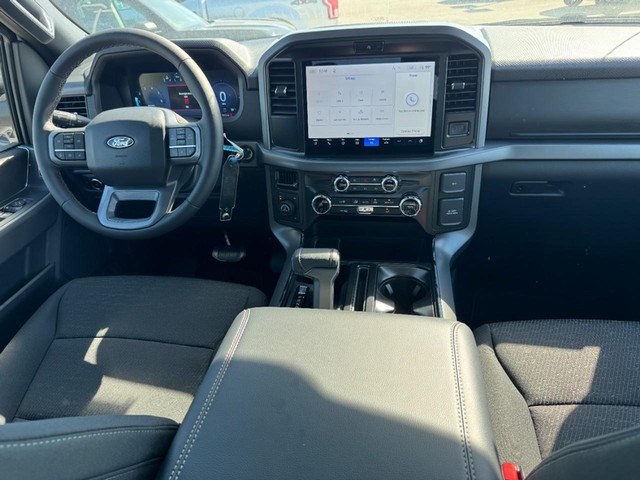Ford F-150 Vehicle Image 06