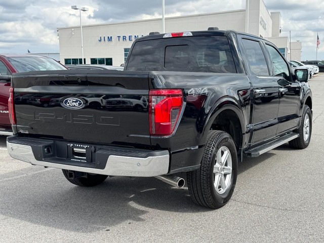 Ford F-150 Vehicle Image 03