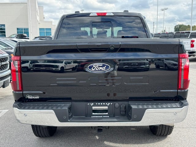 Ford F-150 Vehicle Image 04