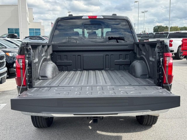 Ford F-150 Vehicle Image 05