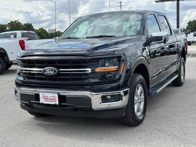 Ford F-150 Vehicle Image 08