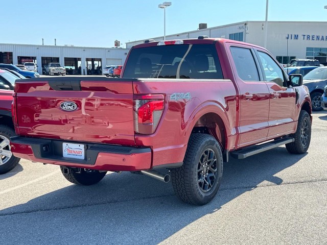 Ford F-150 Vehicle Image 03