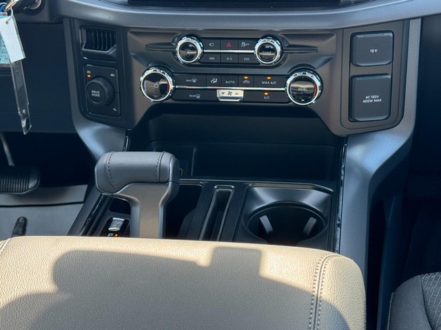 Ford F-150 Vehicle Image 09