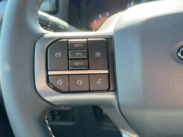 Ford F-150 Vehicle Image 10