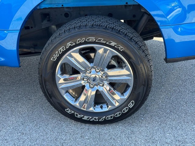 Ford F-150 Vehicle Image 07