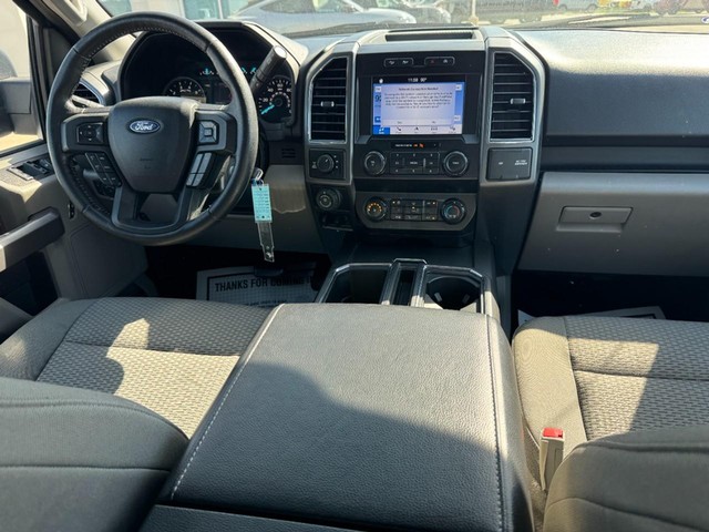 Ford F-150 Vehicle Image 11
