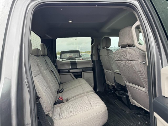 Ford Super Duty F-250 SRW Vehicle Image 10