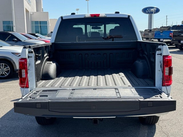 Ford F-150 Vehicle Image 05