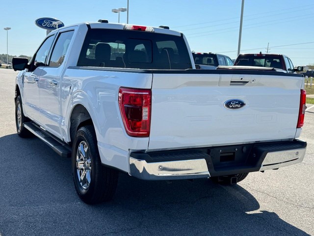 Ford F-150 Vehicle Image 06
