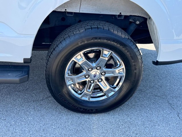 Ford F-150 Vehicle Image 07