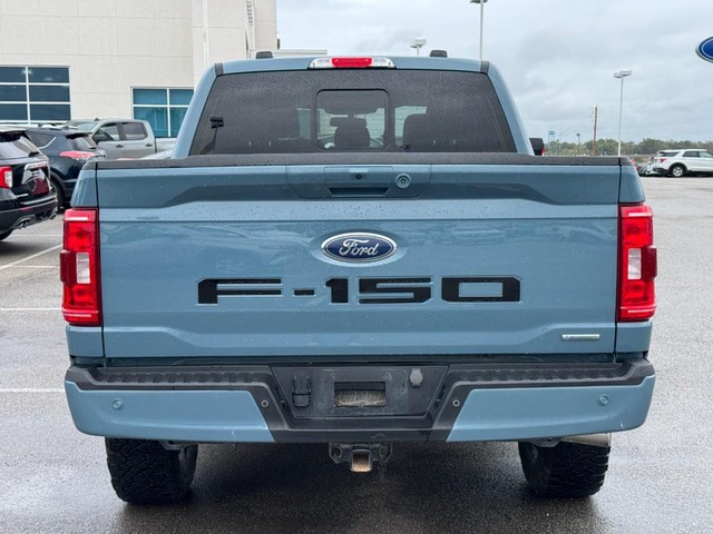 Ford F-150 Vehicle Image 04