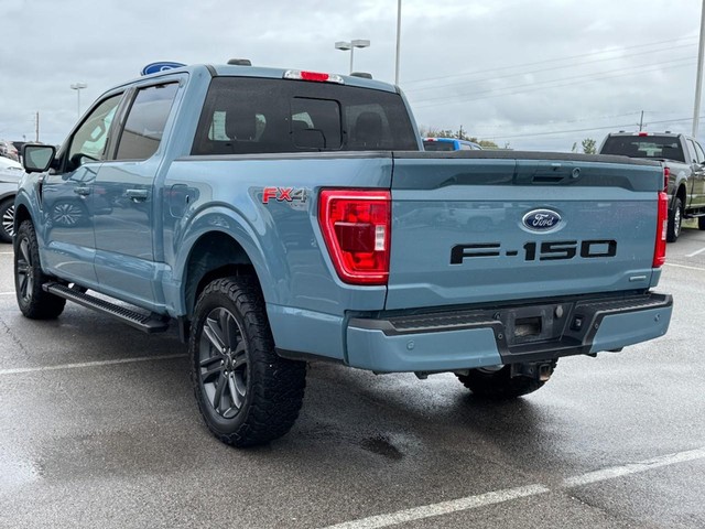 Ford F-150 Vehicle Image 06