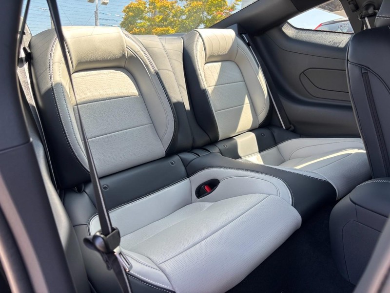 Ford Mustang Vehicle Full-screen Gallery Image 05