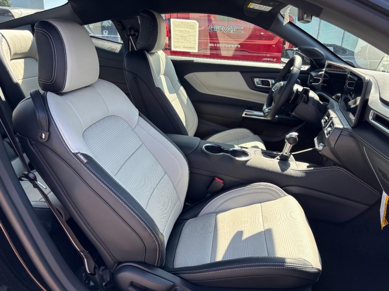 Ford Mustang Vehicle Full-screen Gallery Image 06